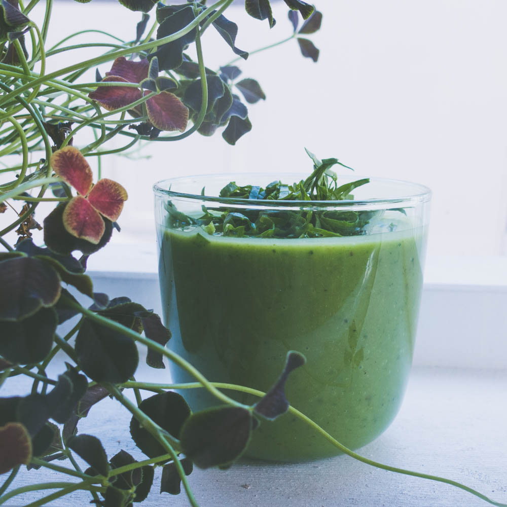 grønn smoothie med avokado og spinat